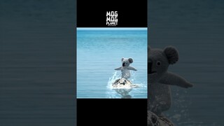 Sea otter ＆ Koala - MOGMOG PLANET Observation Diary | It's Anime #shorts #anime #animals