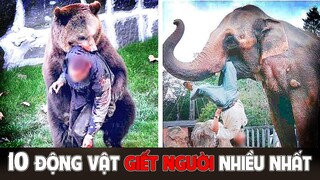 Top 10 Động Vật G.iết Người Nhiều Nhất - Top 1 Quá M.áu Lạnh - HKP