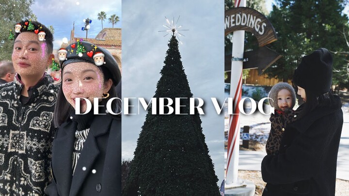 DEC VLOG | Little Sichuan Pepper 6-Month Update | Christmas Tree Lighting Ceremony 🎄 | Skypark Santa
