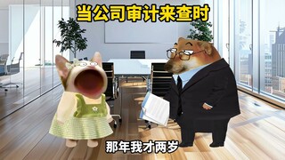 当公司审计来查时，我奔溃了