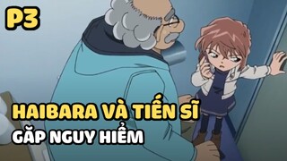 [Thám tử lừng danh Conan] - Haibara và Tiến sĩ gặp nguy hiểm (P3) | Anime hay