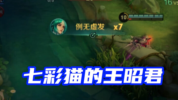 มาเล่นหวังเจาจวินสายแมวหลากสีกันเถอะ!