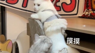 突然一个咸猪手！