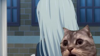 [Cat Meme] Ai chưa xem anime Bang Bang lần đầu xem mygo (1)