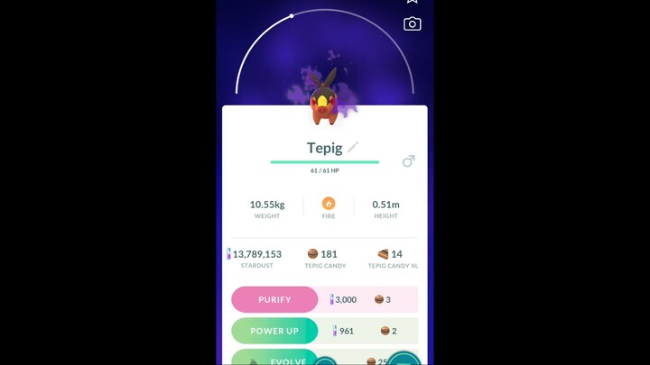 Pokémon GO-Shadow Tepig