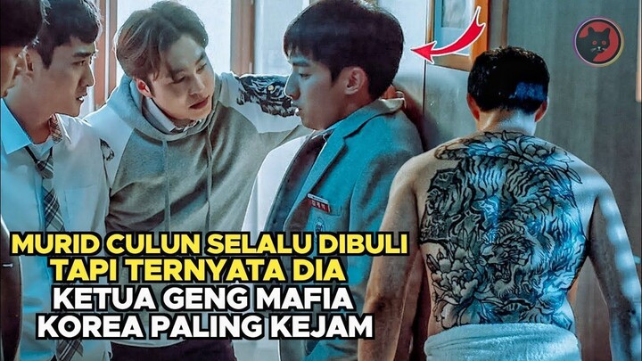 Pura Pura Lemah Di sekolah Padahal Ketua Gangster Mafia Korea Paling Ditakut