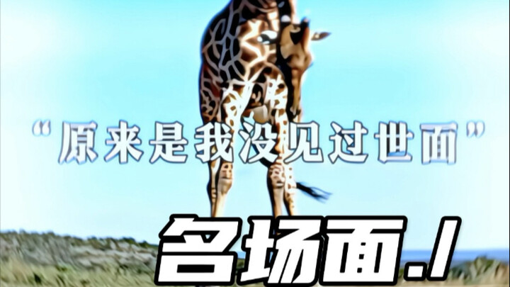 原来是我没见过世面