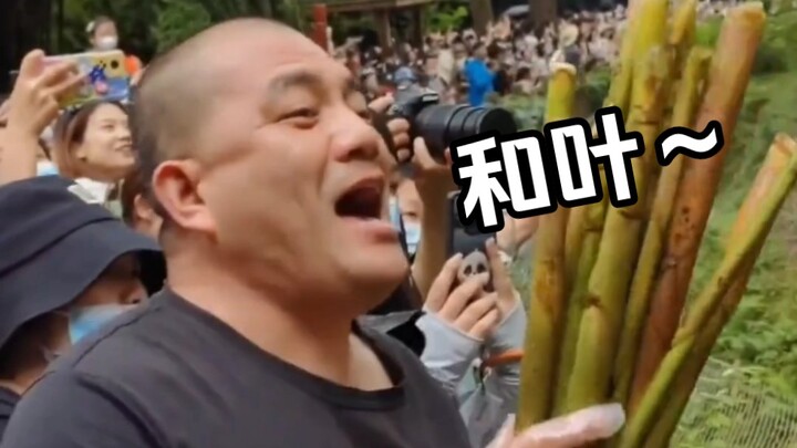 After Kai‑tai turned from a boy into a girl, Grandpa Tan’s voice calling out to Kai‑tai has become i
