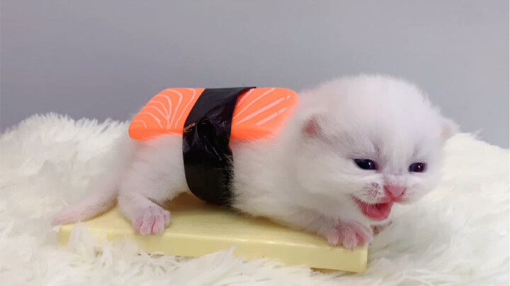 Teach you step by step how to make sweet and delicious cat head sushi