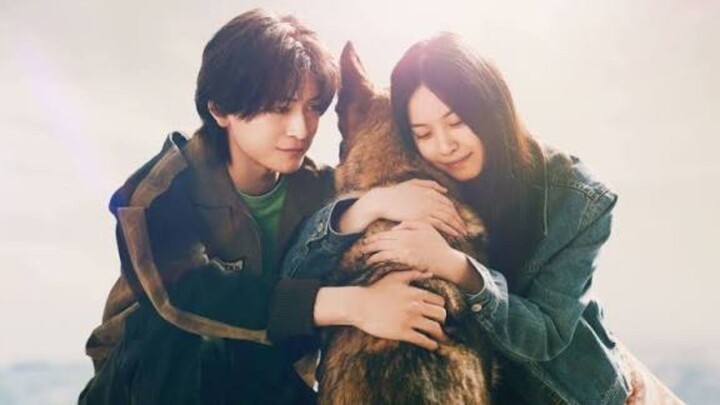 [2025] The Boy and the Dog / Shonen to Inu / 少年と犬 (INDOSUB)