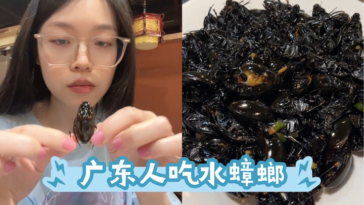 Cảnh người Quảng Đông ăn gián nước! Bạn có dám ăn không?