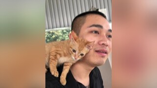 1 chiếc mèo bị mẹ bỏ và sống người từ lúc chưa mở mắt 🥰 xuhuong hàihước trending meow