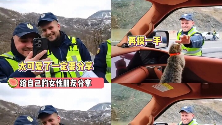 แมวน้อยก็คือสกุลเงินโลกนี่แหละ บล็อกเกอร์ขับรถเที่ยวต่างประเทศ พอตำรวจเห็นเข้าก็ใจอ่อนเลย