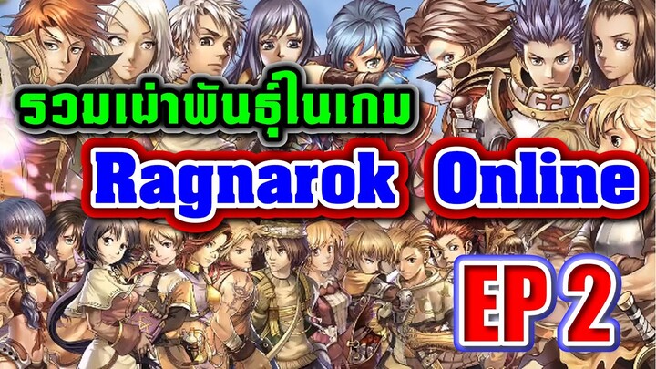 Lore Ragnarok : เผ่าพันธุ์ทั้งหลายใน Ragnarok Online Ep.2