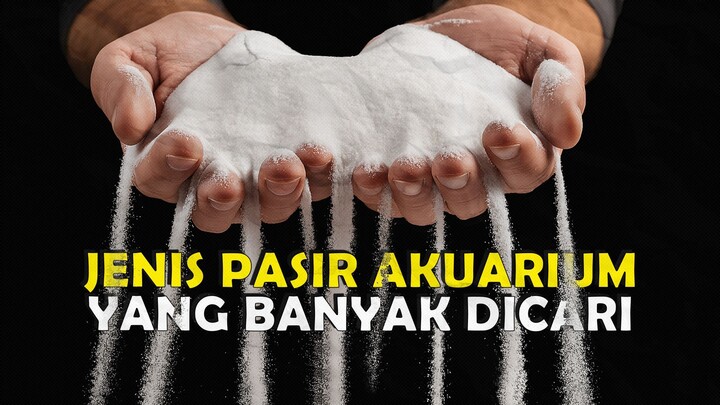 BANYAK YANG BELUM TAHU JENIS PASIR AKUARIUM YANG SERING DIGUNAKAN PARA SCAPER