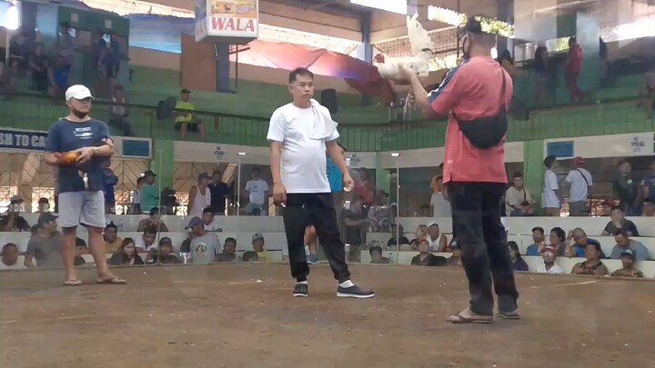 white kelsoxsweater win