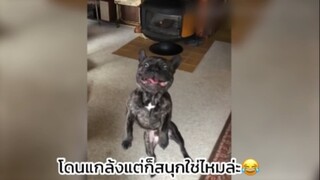 รู้นะว่าชอบบ