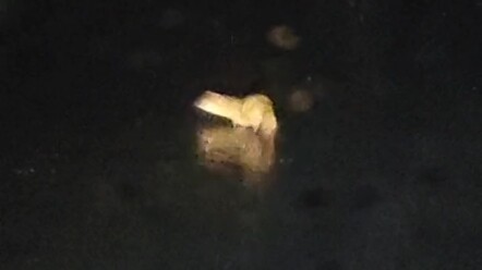 Lúc này có nên qua đó không?