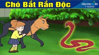 CHÓ BẮT RẮN ĐỘC | Phim Hoạt Hình Mới Nhất 2020 | Truyện Cổ Tích | Khoảnh Khắc Kỳ Diệu | Phim Hay