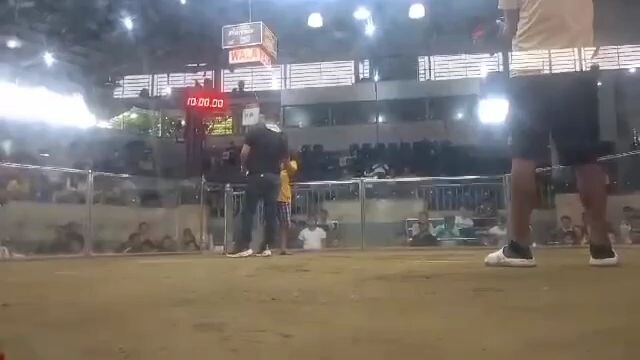 2hits champion @NCCA 2nd fyt raptor hatch