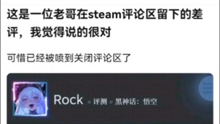 一位老哥在steam留下的差评，你觉得中肯吗？