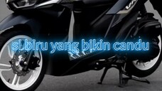 si biru yang bikin candu
