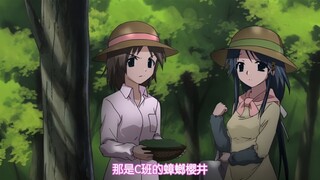 原来你所厌烦的人，却是她人心心念念的白月光啊