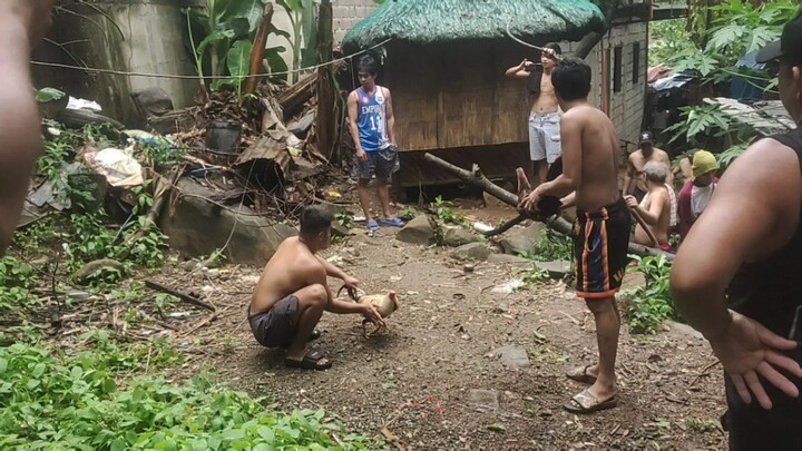 napakahusay mo talisay