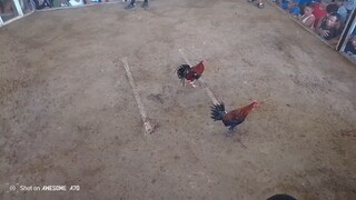 Win