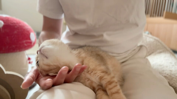 Just leaning into your arms is being cute.