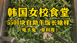 韩国女校食堂5500元自助午饭长啥样？（解锁新草种）