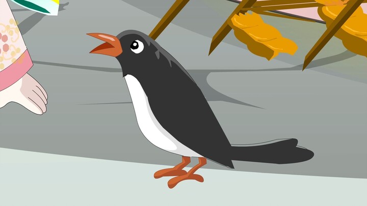 Episode 19: Talking Magpie#Animation#Original Animation