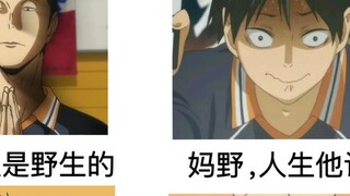 Kehidupan di SMA Wilderness Karasuno