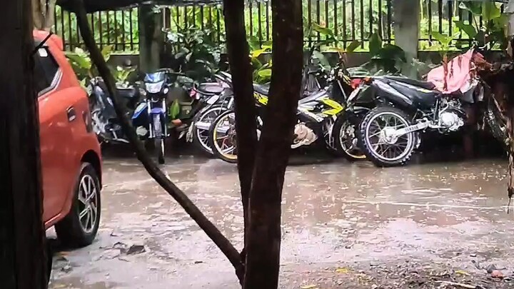 Maulan na umaga