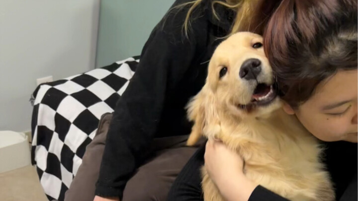 ما من ضربة كبيرة تُلقَى عبثًا: صديقي يخاف كلاب الدوبرمان ويعشق الجولدن ريتريفر، لكن بروفة البان كيك 