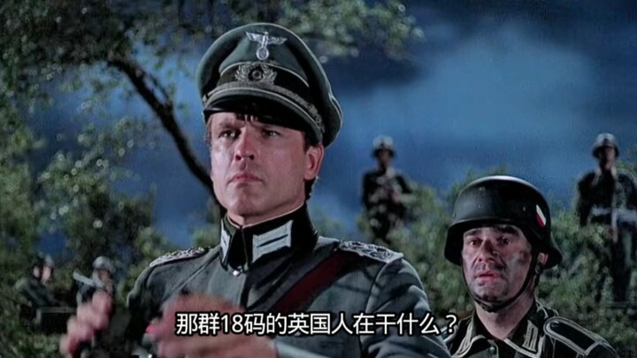 【Cuộc chiến giữa Kỵ sĩ Chủng tộc và Kỵ sĩ Cuộn Gỗ】, xem xong mà vẫn giữ được bình tĩnh thì coi như đ