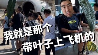 Orang yang terlibat menjawab | Ya, saya Totoro yang membawa daun sepanjang 1,2 meter di pesawat!