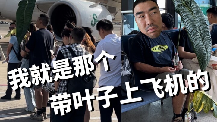 当事人回应｜没错，我就是那个拿着1米2叶片上飞机的龙猫！