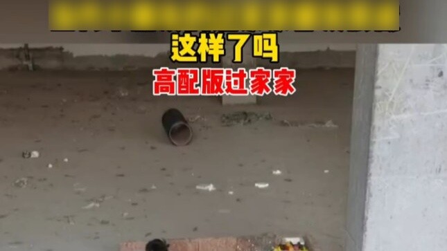 Ngôi nhà đồ chơi của trẻ em ngày nay có phát triển thành như thế này không?