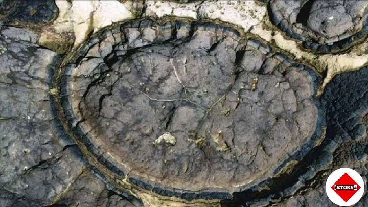 Ang misteryo ng bulkan sa ilalim ng tubig