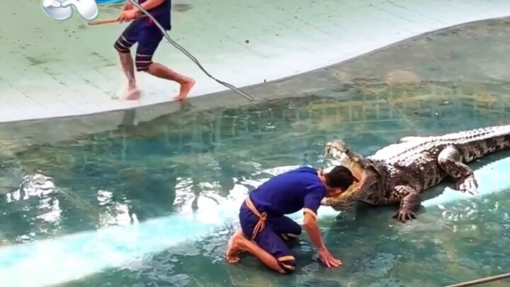 moment before coocked #viral