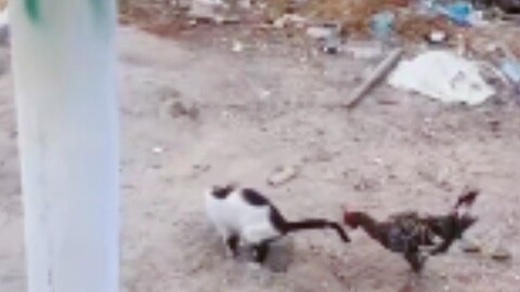 Nếu người tham ăn lại là bạn thì sao