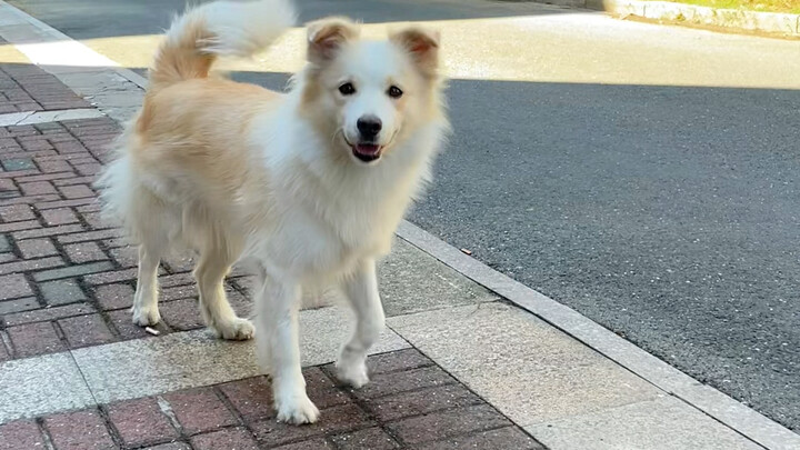 I’ve unlocked another new way to play soccer—I’m so clever, I just have to admire myself!