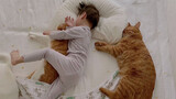 Dua Kucing Oranye Membujuk Tuan Kecil untuk Tidur