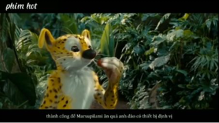 Tóm tắt phim Theo dấu Marsupilami phần 6 #reviewphim