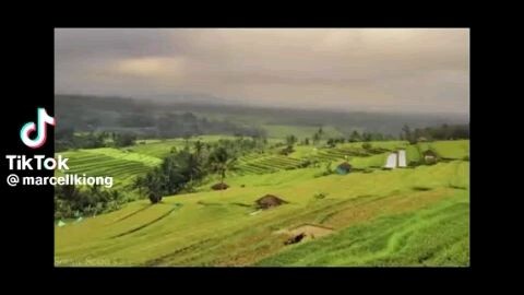 sakitnya sampai di kepala gue