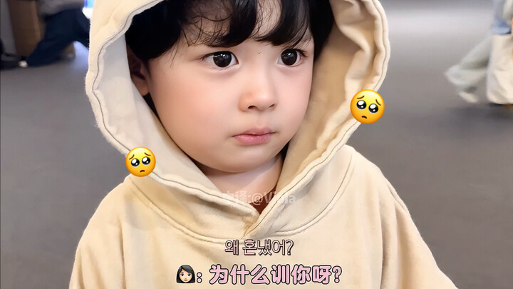 [Chinese-subtitled cut] Little pig Yijin looks all forlorn after being scolded by his dad