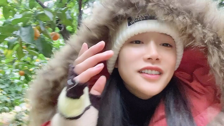 รู้ไหมว่าฉันกำลังตามหาม้าตัวไหนอยู่?