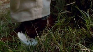 “Film berakhir di tempat yang seharusnya”