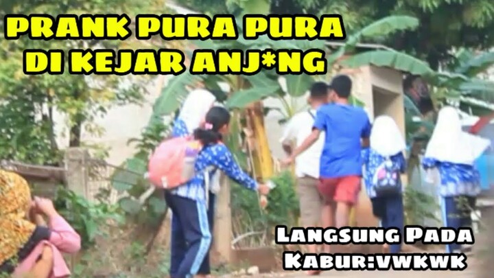 NGAKAK!!PRANK PURA PURA DI KEJAR ANJ*NG ||Auto Kocar-Kacir 😂
